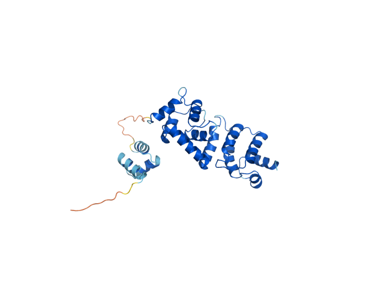 AlphaFold predicted structure of DCN1