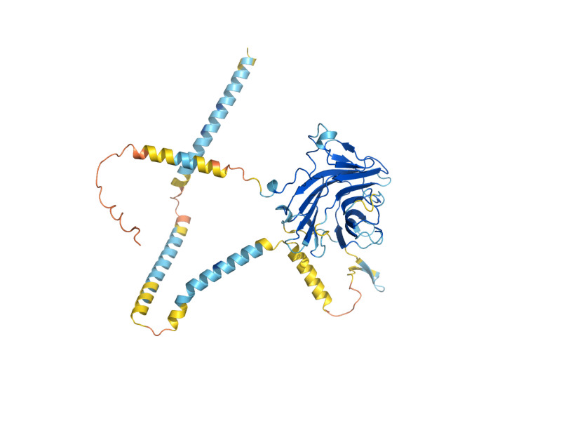 AlphaFold predicted structure of EMP46