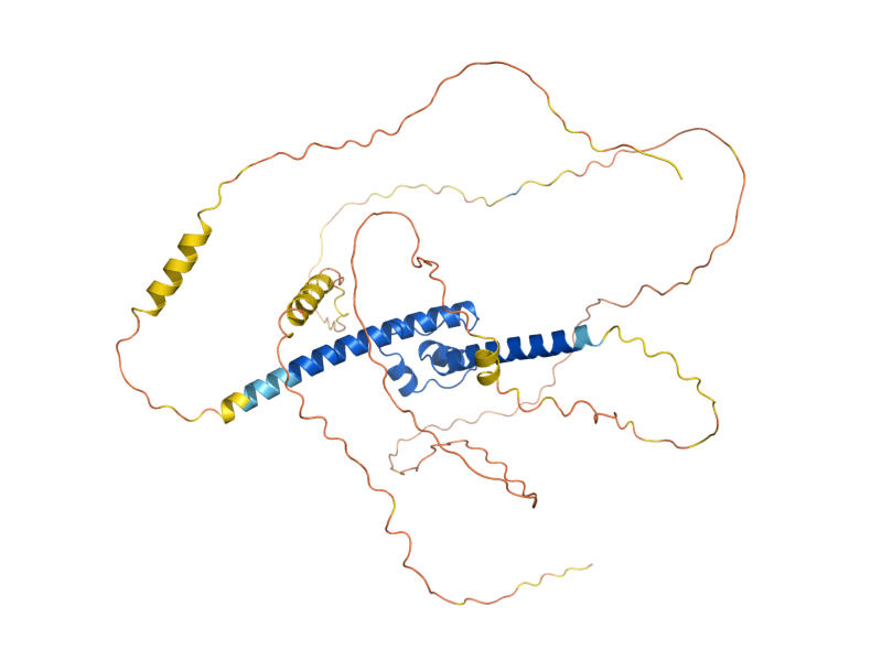 AlphaFold predicted structure of HMS1