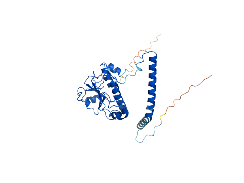 AlphaFold predicted structure of TRM10