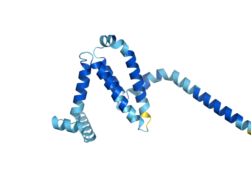 AlphaFold predicted structure of YOP1