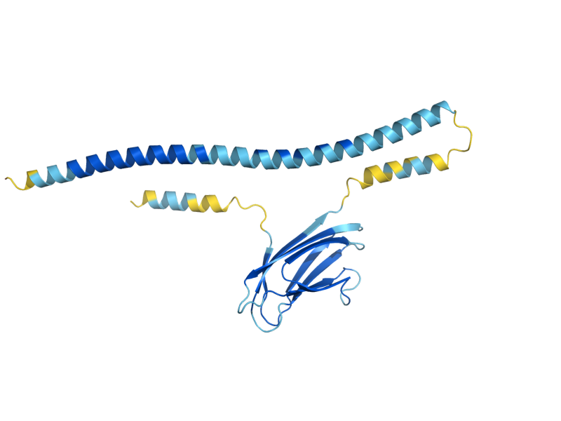 AlphaFold predicted structure of ERP3
