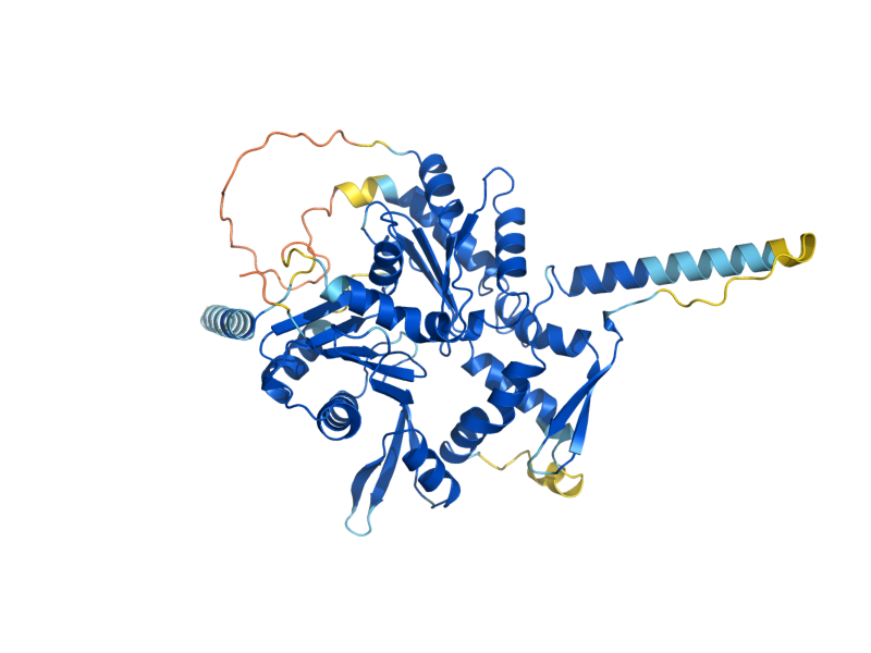 AlphaFold predicted structure of ARP7
