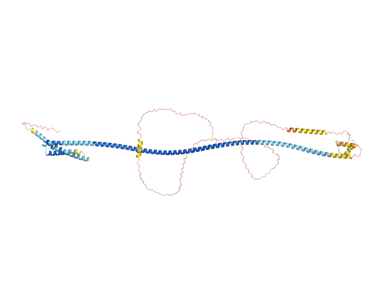 AlphaFold predicted structure of SPO21
