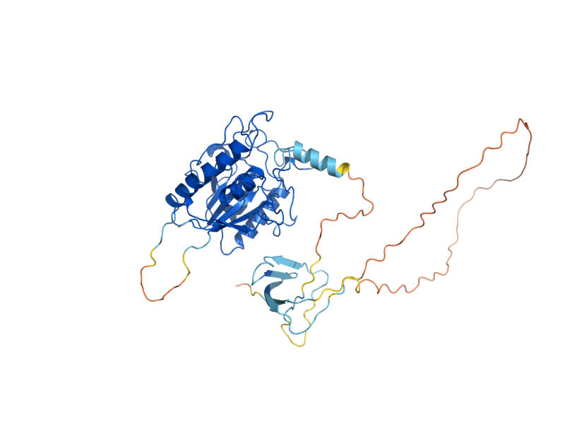 AlphaFold predicted structure of TFC7