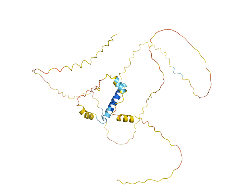 AlphaFold predicted structure of WHI5