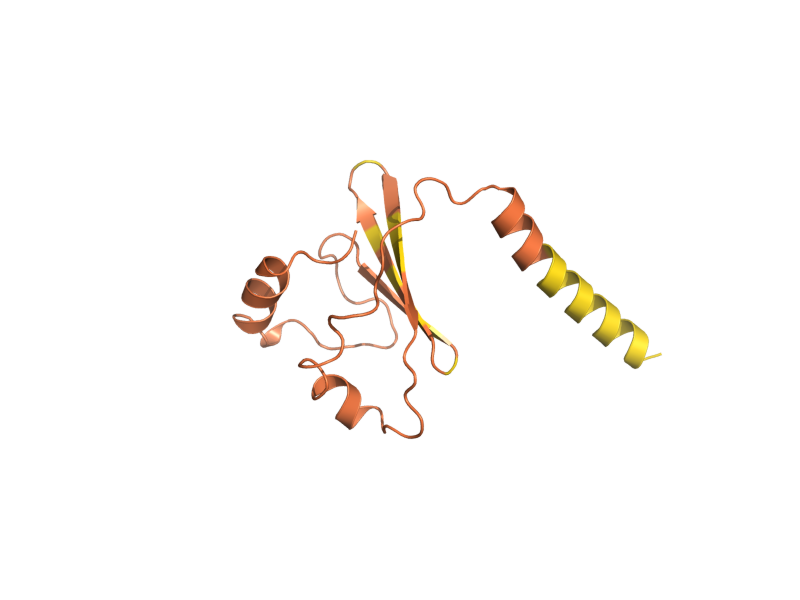 AlphaFold predicted structure of YDR010C