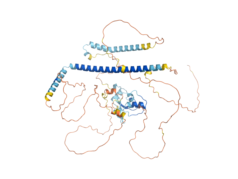 AlphaFold predicted structure of AHC1