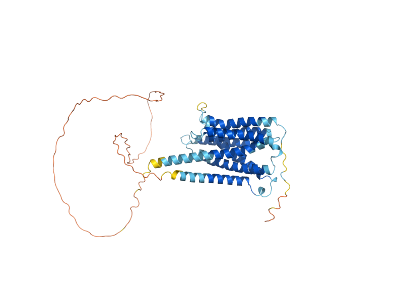 AlphaFold predicted structure of ZRT2