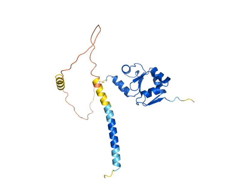 AlphaFold predicted structure of GRX6