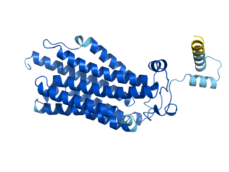 AlphaFold predicted structure of IZH2