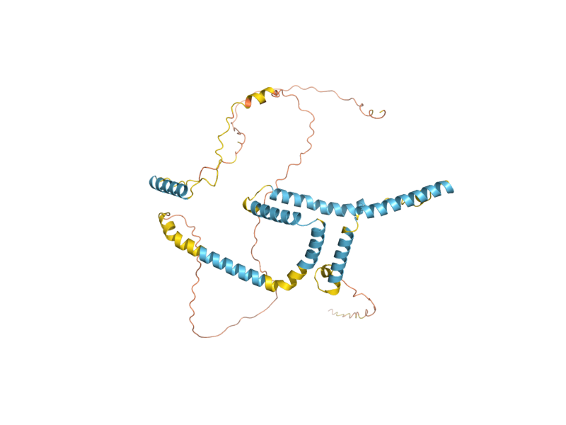 AlphaFold predicted structure of RTN2