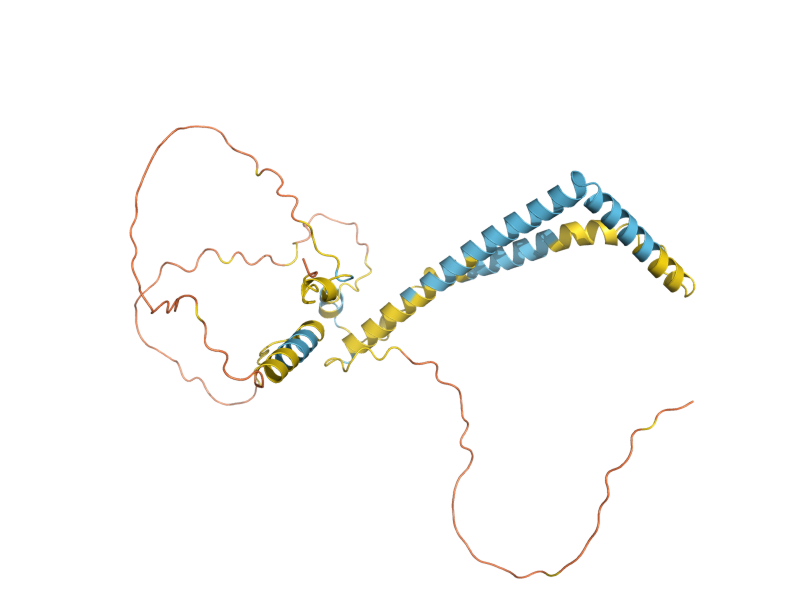 AlphaFold predicted structure of POM34