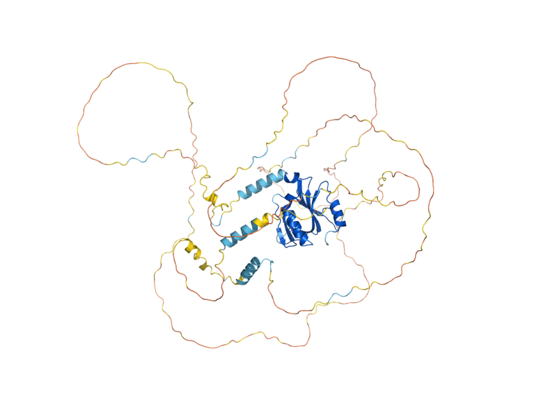 AlphaFold predicted structure of LAS17