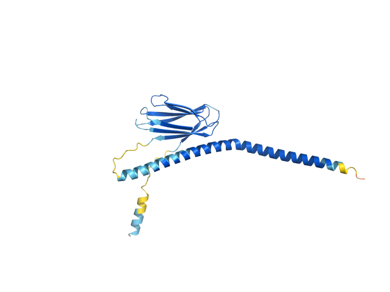 AlphaFold predicted structure of ERP4
