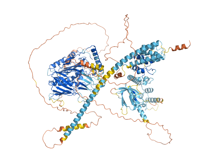 AlphaFold predicted structure of OSH2