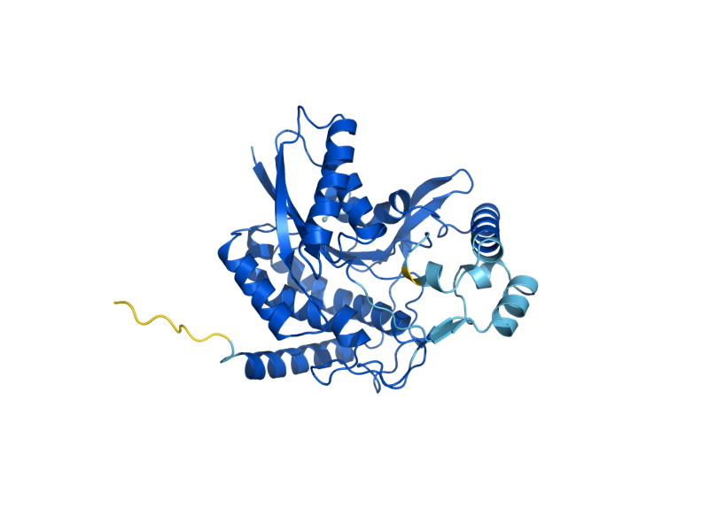 AlphaFold predicted structure of ERG27