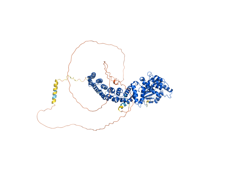 AlphaFold predicted structure of CEX1