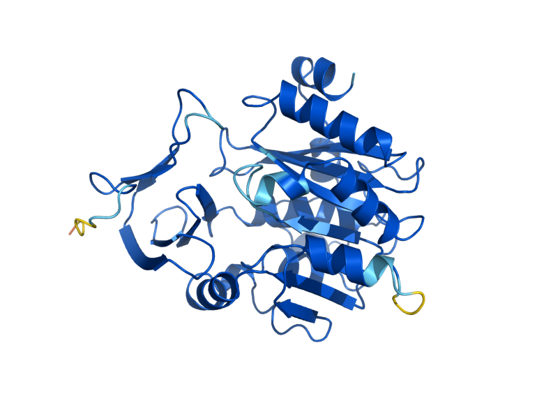 AlphaFold predicted structure of SPE4