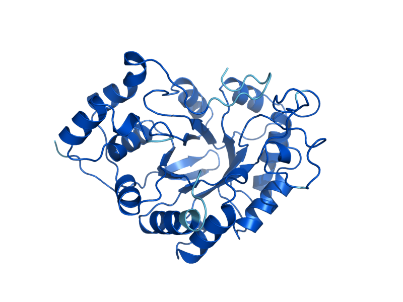 AlphaFold predicted structure of YPR1