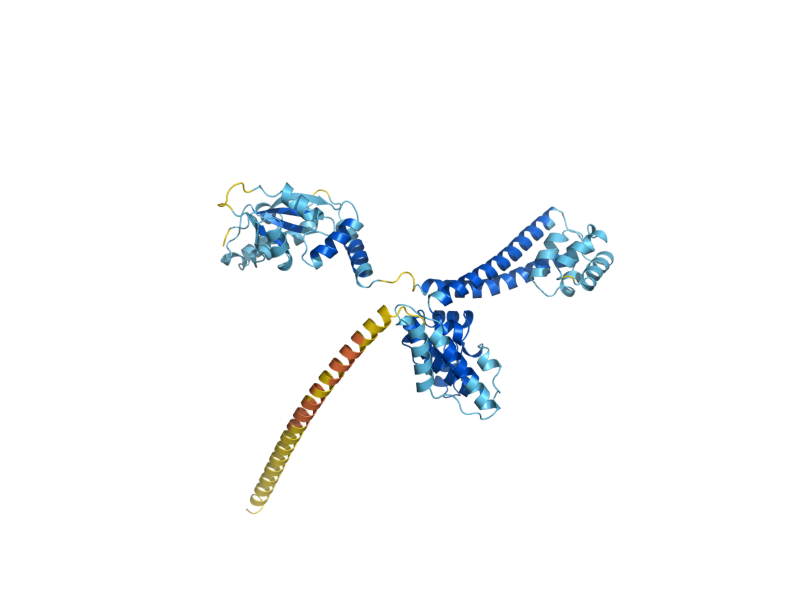 AlphaFold predicted structure of NOP56