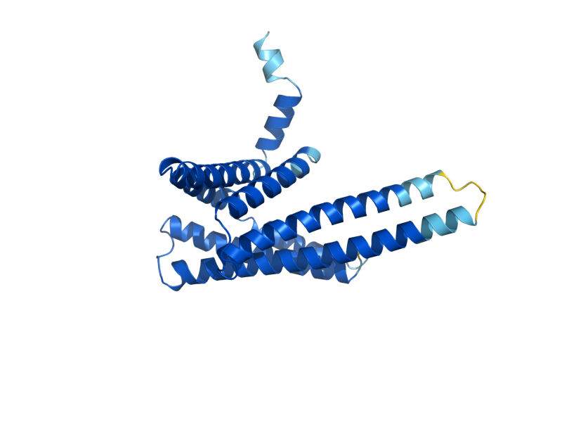 AlphaFold predicted structure of PEX11