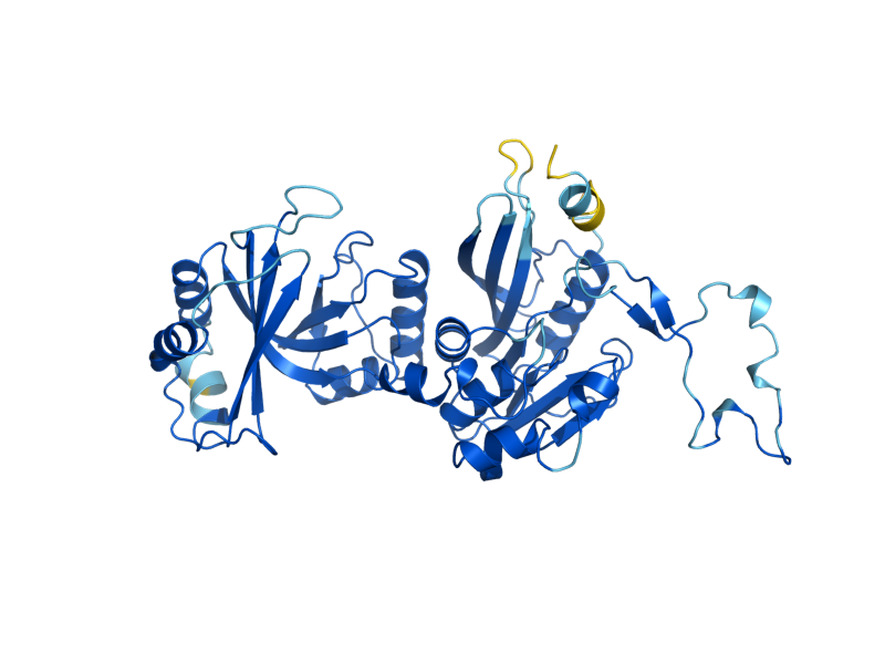 AlphaFold predicted structure of TRM11