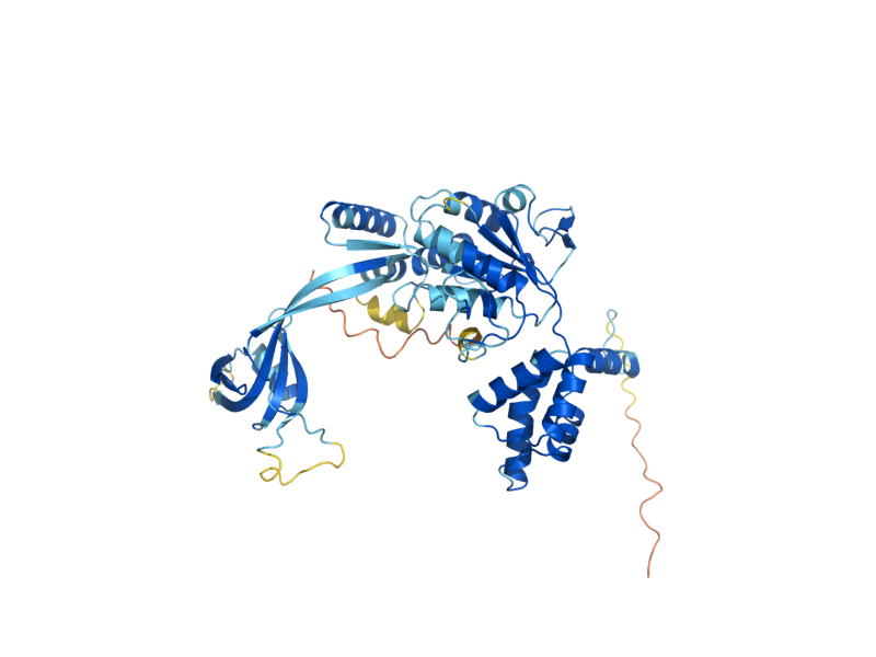 AlphaFold predicted structure of RVB2
