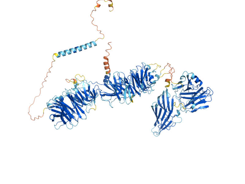 AlphaFold predicted structure of RAX2