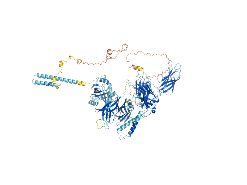 AlphaFold predicted structure of TCB1