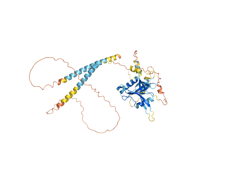 AlphaFold predicted structure of RRI1