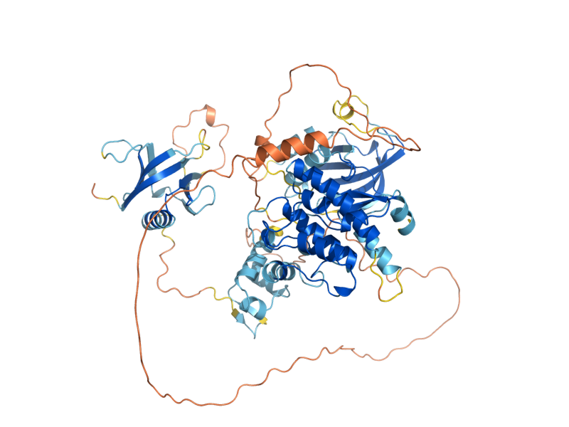 AlphaFold predicted structure of SKM1
