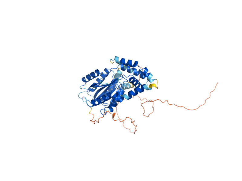 AlphaFold predicted structure of PFK27