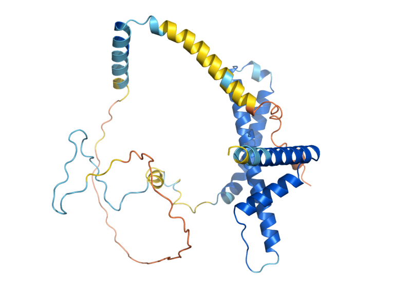 AlphaFold predicted structure of RRP36