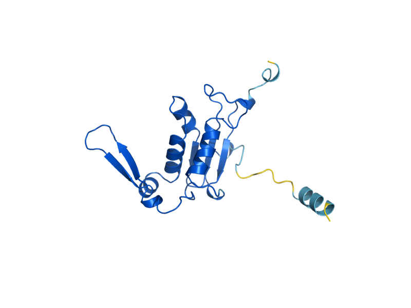 AlphaFold predicted structure of MRPL23