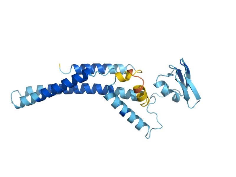 AlphaFold predicted structure of PSF1