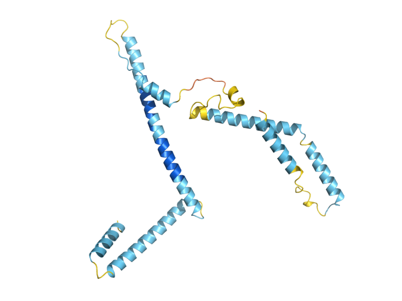 AlphaFold predicted structure of NKP1
