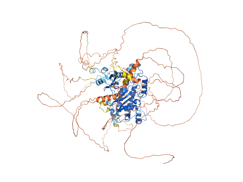 AlphaFold predicted structure of KCS1