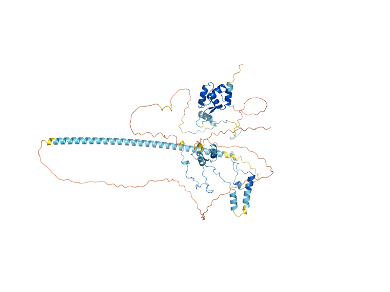 AlphaFold predicted structure of RLF2