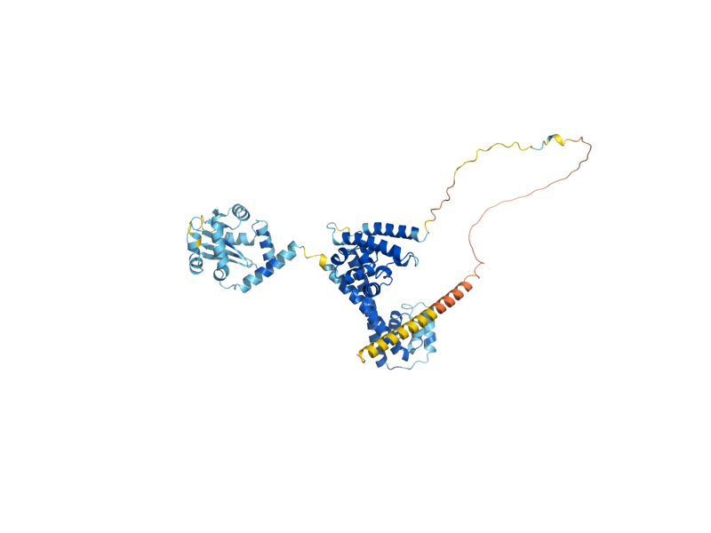 AlphaFold predicted structure of NOP58
