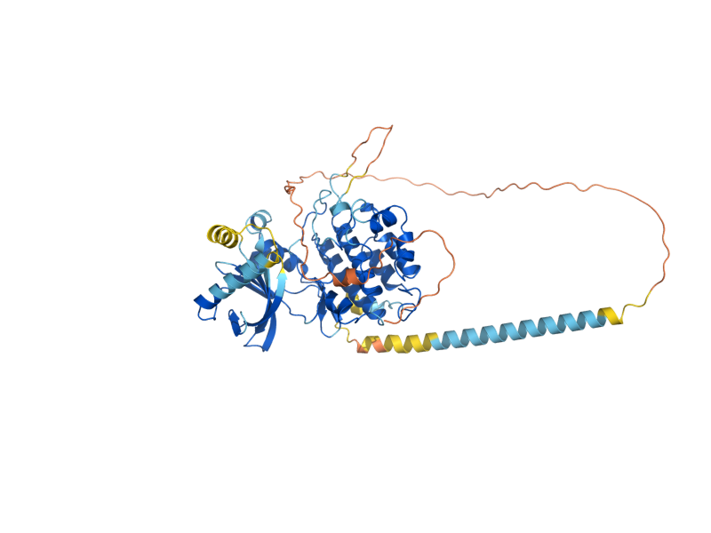 AlphaFold predicted structure of SKS1