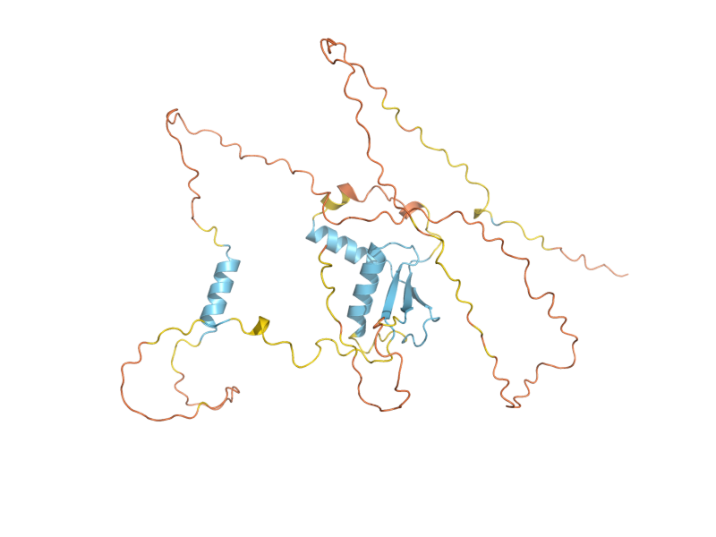 AlphaFold predicted structure of SFG1