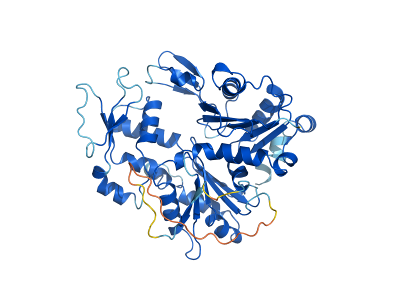 AlphaFold predicted structure of ARP6
