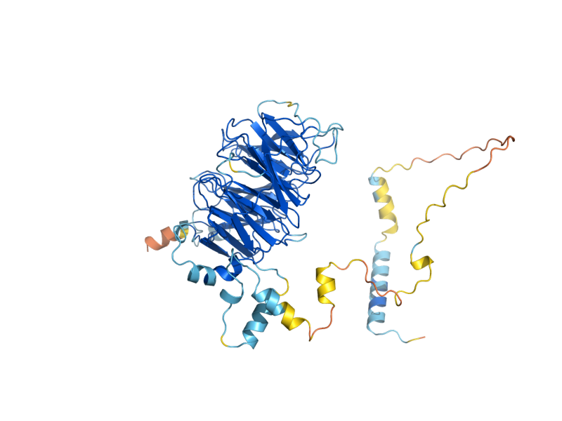 AlphaFold predicted structure of CMR1