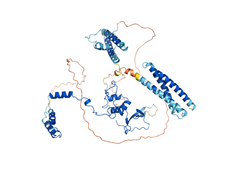 AlphaFold predicted structure of NOT5