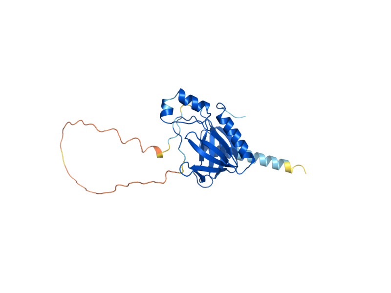 AlphaFold predicted structure of DCP1