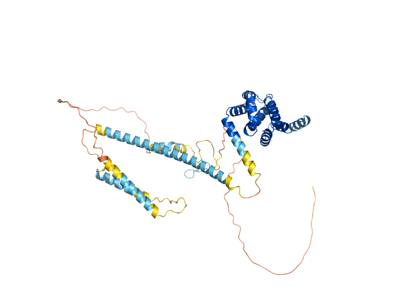 AlphaFold predicted structure of ENT1