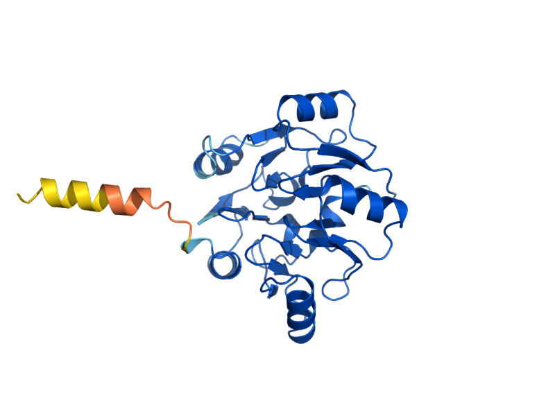 AlphaFold predicted structure of TIF6