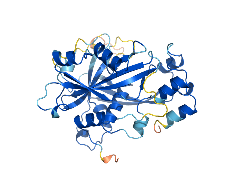 AlphaFold predicted structure of PCD1