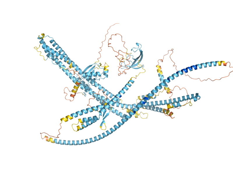 AlphaFold predicted structure of ATG11